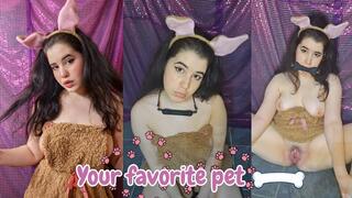 Your favorite pet - Masturbartion, squirt , pee