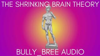 The Shrinking Brain Theory Audio