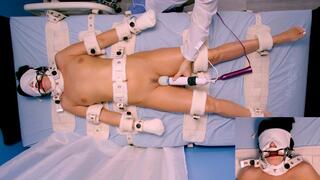 Obedience Training for LilMizzUnique