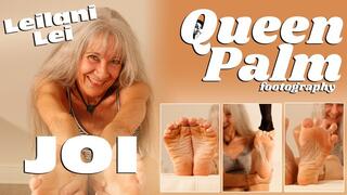 Leilani Lei JOI Featuring Leilani Lei