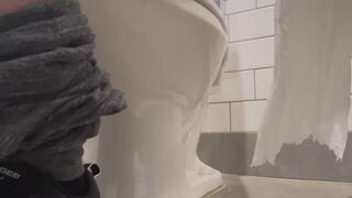 Walmart toilet