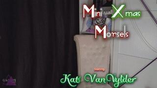 Mini Xmas Morsels (WMV 1080P)