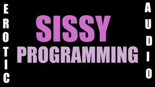 Sissy programming