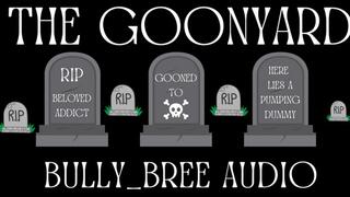 The Goonyard Audio