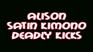 Alison satin kimono lethal kicks