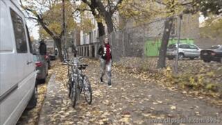 Cassandra's Financial Manipulation - (Ultra HD 4K Version)