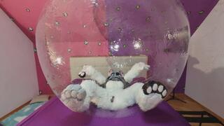 Furry in Rubber Ball