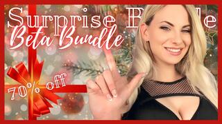 Holiday Surprise Bundle - Beta Bundle 480WMV