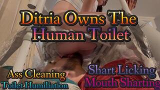 Personal Shart Licking Toilet - Ditria Rose