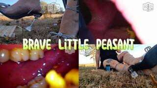 Brave Little Peasant