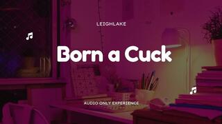 Born a cuck - MP3 Cuckold Audio - LeighLake