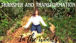 Transfer and transformation in the woods