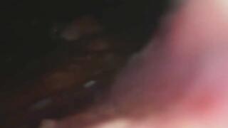 Carolyn Digests Tacos