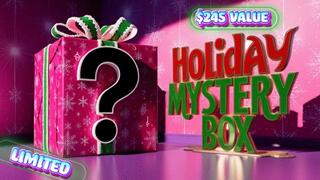 Holiday Mystery Box One: $245 Value!