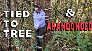 Tied to a tree and abandonded