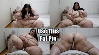 Use This Fat Pig
