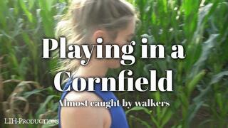 Playing in a Cornfield ( and almost got caught )