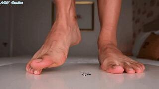 Funky Indian feet vs tiny cop! Giantess CRUSH pt 2 - MP4