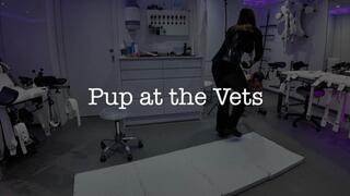 A New Visit
