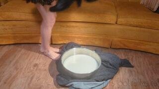 Fifi steps into corn starch oobleck with her black knee high boots, this time an extra deep batch that gets her extra stuck replay