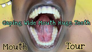 Rowanies New Mouth Tour Video First Time I Ever Gleeked after Saliva Gland Massage and Saliva play in HD