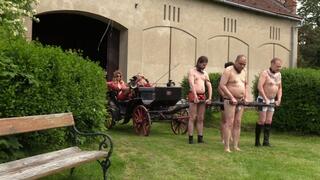Lady Dark Angel - At OWK Ladies use their whips in bid to win a race