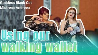 Goddess Black Cat and Mistress Andreea - Using our walking wallet