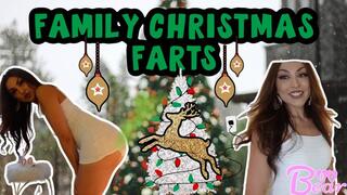 Farting At Boyfriend's Family Xmas Party!