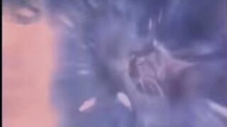 The Grinch That soled Christmas ???? starring @Latinasolez_ & @Footacular1 cut