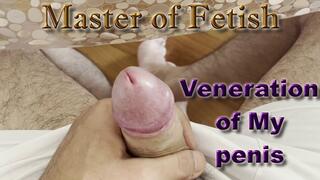 Veneration of My penis