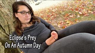 Eclipses Prey On An Autumn Day - HD 720p Version