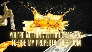 The NLP toolbox: You’re Nothing Without Me - Pay to Use My Property ToiletDom