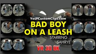 Bad Boy On Leash VR 3D 8K