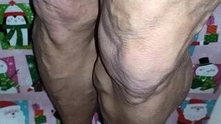 Miss Claus up close calves
