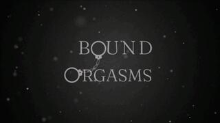 Lost Bet Diaries Part 2 (MP4) FORMAT