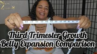 Third Trimester Pregnancy Belly Growth Expansion Comparison