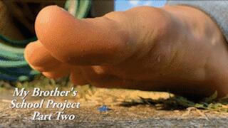 My Brother's School Project - Part Two - HD 720p Version