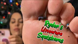 Ryders Unaware Squishmas - HD 1080p Version