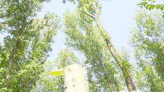 trailer_Mesmeriza_34_01_MOV_CINEMA_CLIP_543_20240902095301621