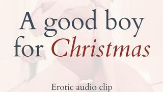 A Good Boy for Christmas