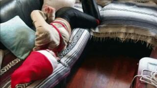 A Knight before Christmas