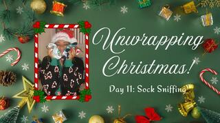 Unwrapping Christmas Day 11: Dirty Sock Sniffer