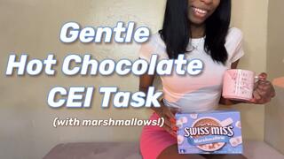 Gentle Hot Chocolate CEI Task