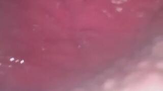 Carolyn: Fully Digested Tacos