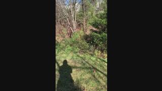 My pissing compilation!