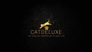 Meine Exklusivität ist kostspielig - My Exclusivity is Expensive