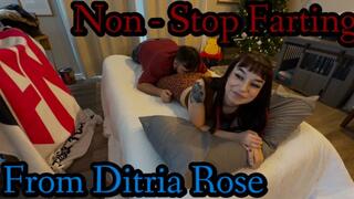 Non-Stop Nose Farts From Ditria Rose