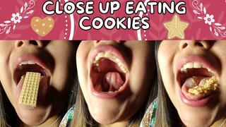 Close up eating cookies