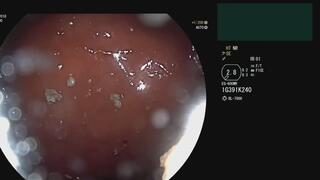 New years´ promo vore lovers