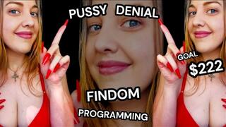 Pussy Denial Findom Programming - Goal $222 - The Goddess Of Destruction